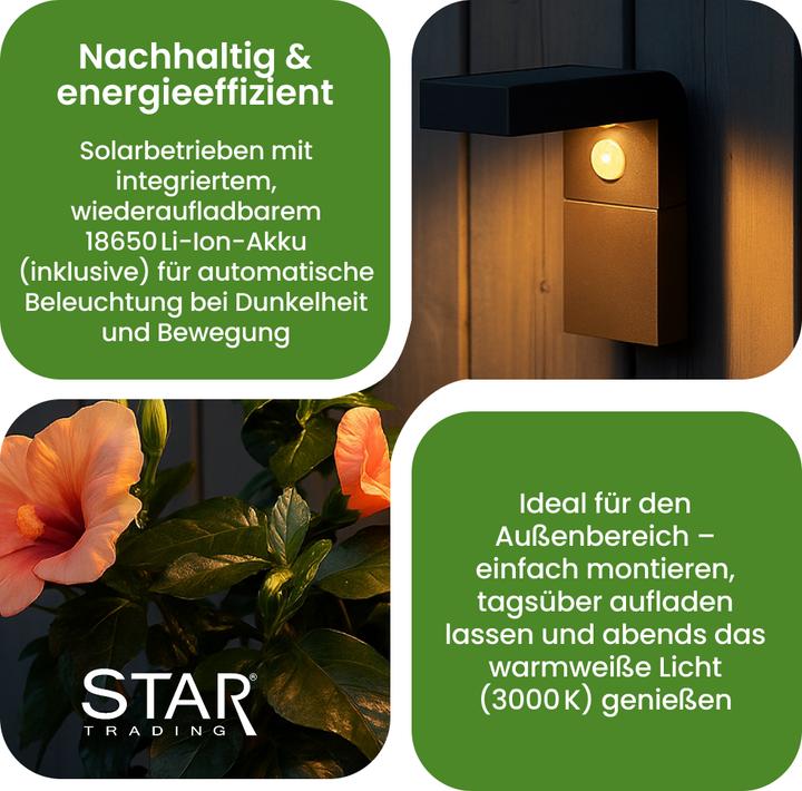 Image du produit Star Trading Lanterne murale solaire Vici (300 lm, IP44)