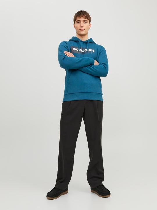 Image du produit Jack & Jones Logo Hoodie (L)