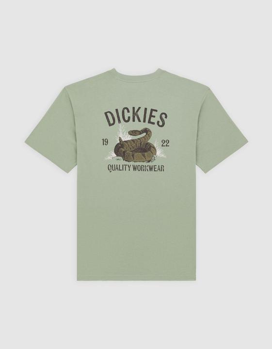 Image du produit Dickies Snake Ss Tee Iceberg Green (M)