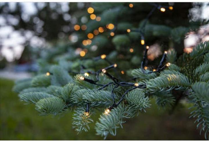 Actual product image Star Trading Dura String (11.70 m)