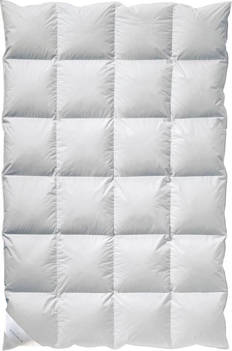 Actual product image Billerbeck Gabriela 90 (1500 g, 155 x 220 cm)