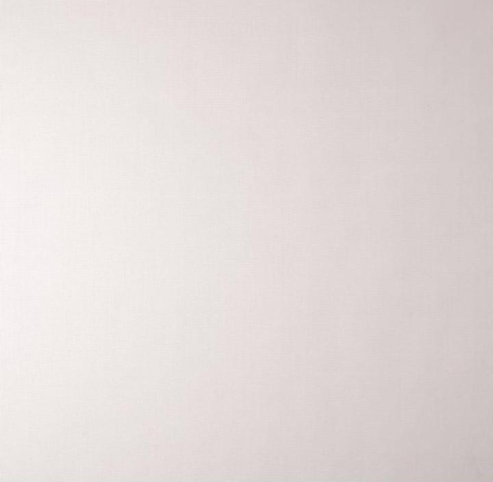 Image du produit Windhager Moustiquaire (100 x 250 cm)