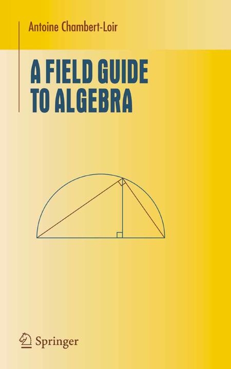 A Field Guide to Algebra (Antoine Chambert-Loir, 2010)