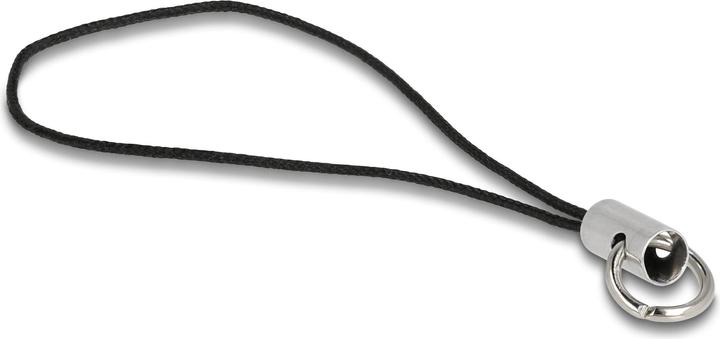 Immagine prodotto Delock Mini (256 GB, USB-C)