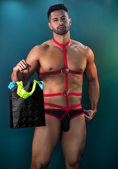 Produktbild Cut4men Body Harness in schwarz/rot (S)