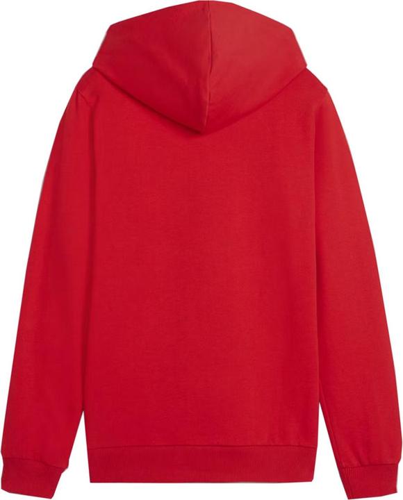 Produktbild Puma Team Goal Casual Kapuzenpullover (128)