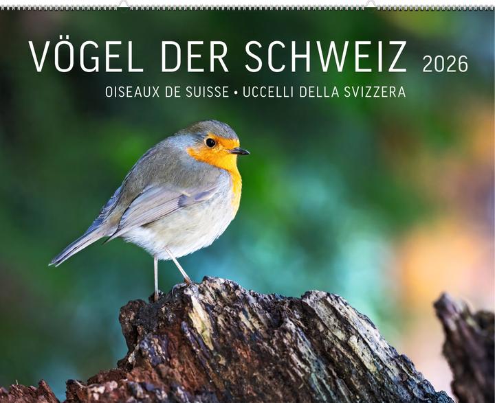 Vögel der Schweiz 2026