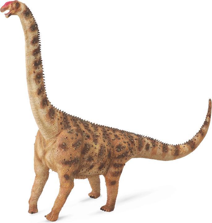 Actual product image Collecta Argentinosaurus Dinosaur Collection (004-88547)