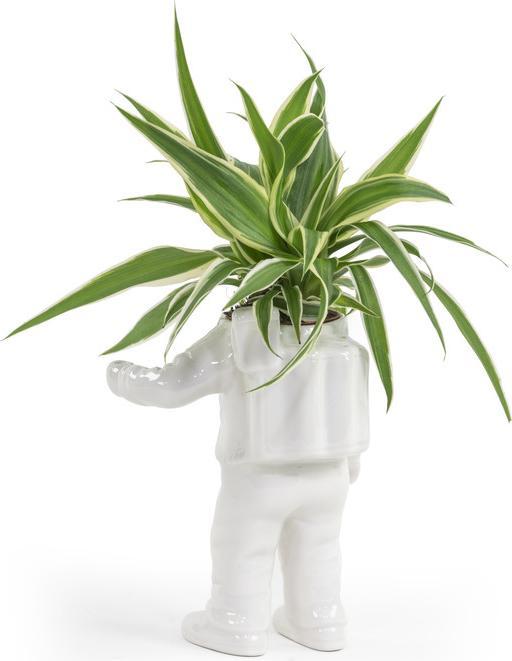 Immagine prodotto Bitten Astronaut Vase Small (1x)