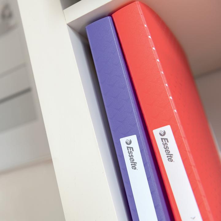 Immagine prodotto Esselte Libro display Colour'Breeze (A4, 1x)