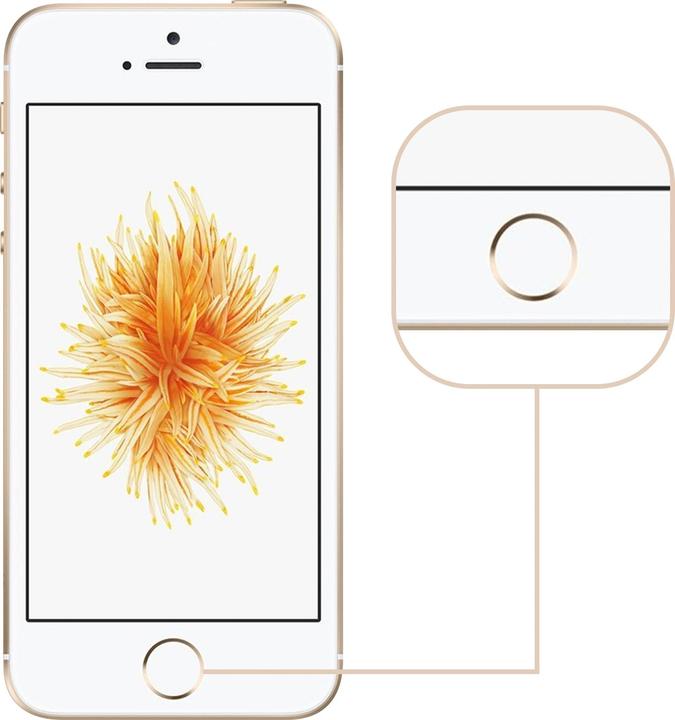 Immagine prodotto Avizar Pezzo di ricambio iPhone 5S/SE Tasto Home (Apple iPhone SE)