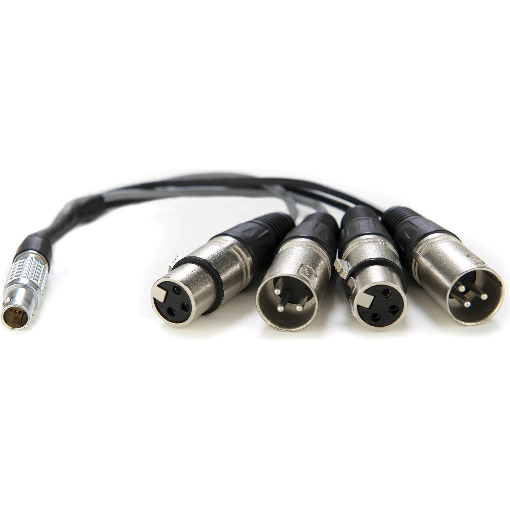 Atomos XLR Breakout Cable (in / out) (XLR), Audio Kabel