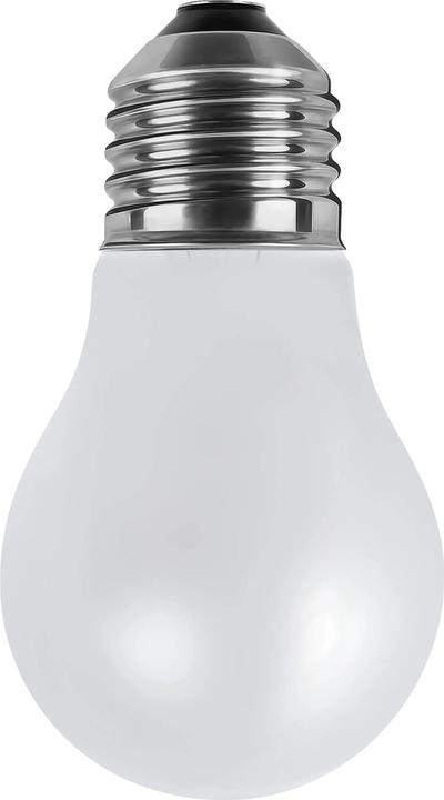 Actual product image Segula LED bulb 24V opal E27 dimm. (E27, 6 W, 560 lm, 1 x, F)
