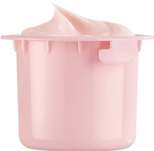 Actual product image Melvita Source de Roses Hydra-Padding Cream REFILL (50 ml, Face toner)
