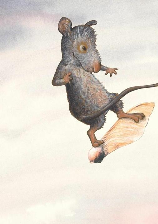 Produktbild Flugmaus Postkarte VE 10 (10 Stk.)