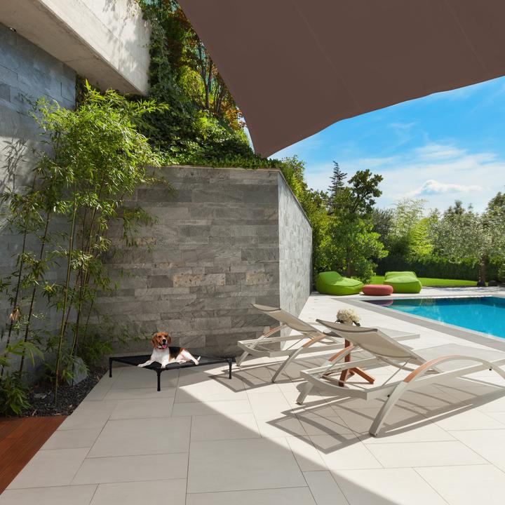 Actual product image Relaxdays Lettino per-cani (Dog)