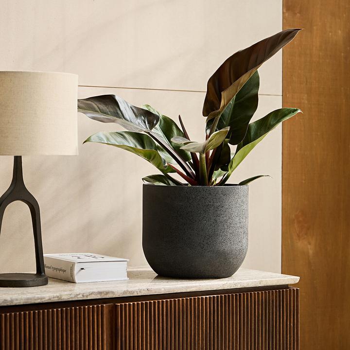 Produktbild AM.PM Florian (26.50 x 23 cm)