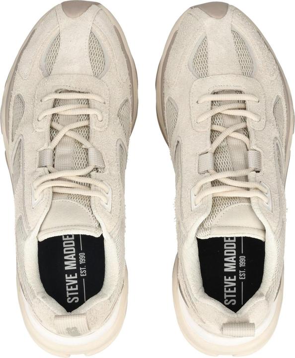Image du produit Steve Madden Sneaker (42)