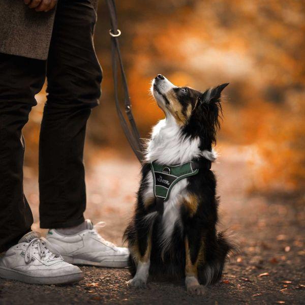 Productafbeelding Hunter Divo servies (L, Hond, Hondensport)