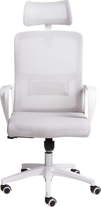 Produktbild Beliani Monarch (35 - 45 cm)