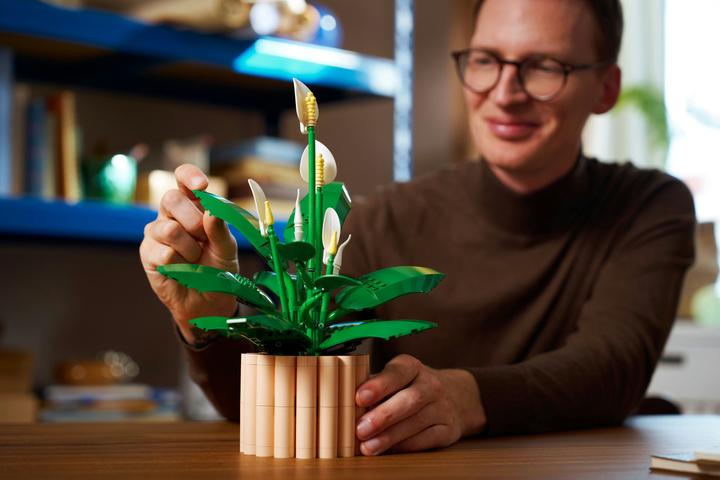 Image du produit LEGO Friedenslilie (11504, LEGO Botanical)