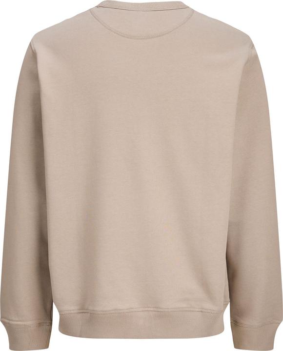 Actual product image Jack & Jones Sweatshirt Junior Sweatshirt (176)