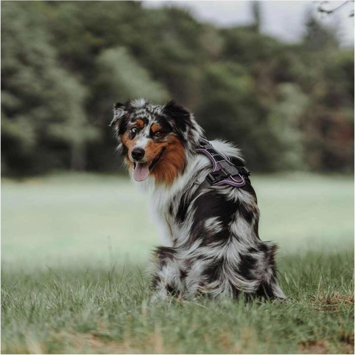 Image du produit Hunter Vaisselle Divo (L, XL, Chien, Général)