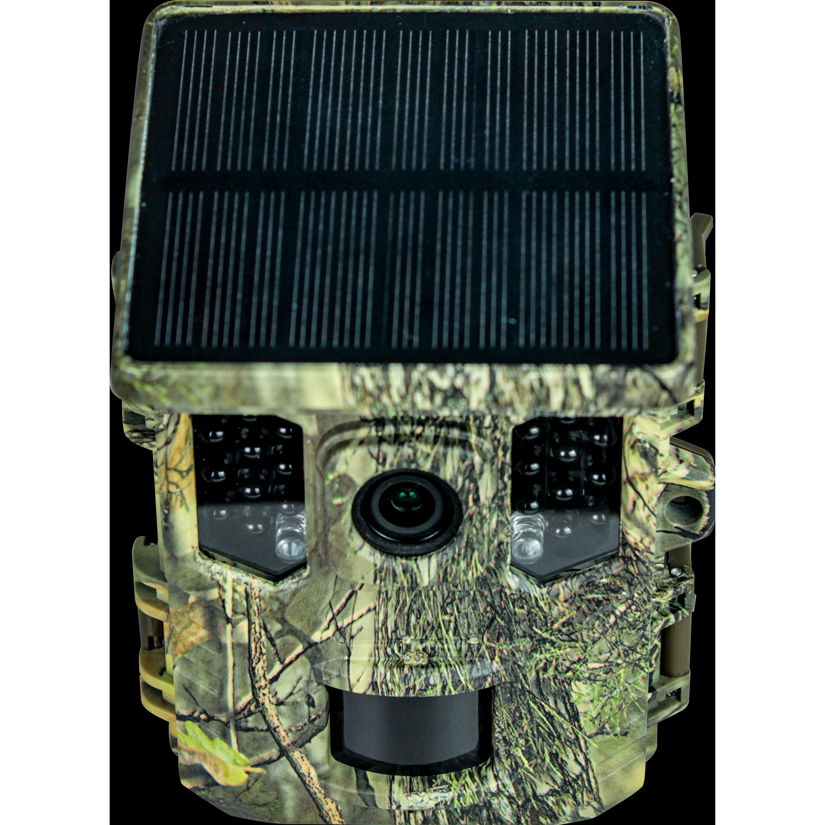 Braun Photo, Wildkamera