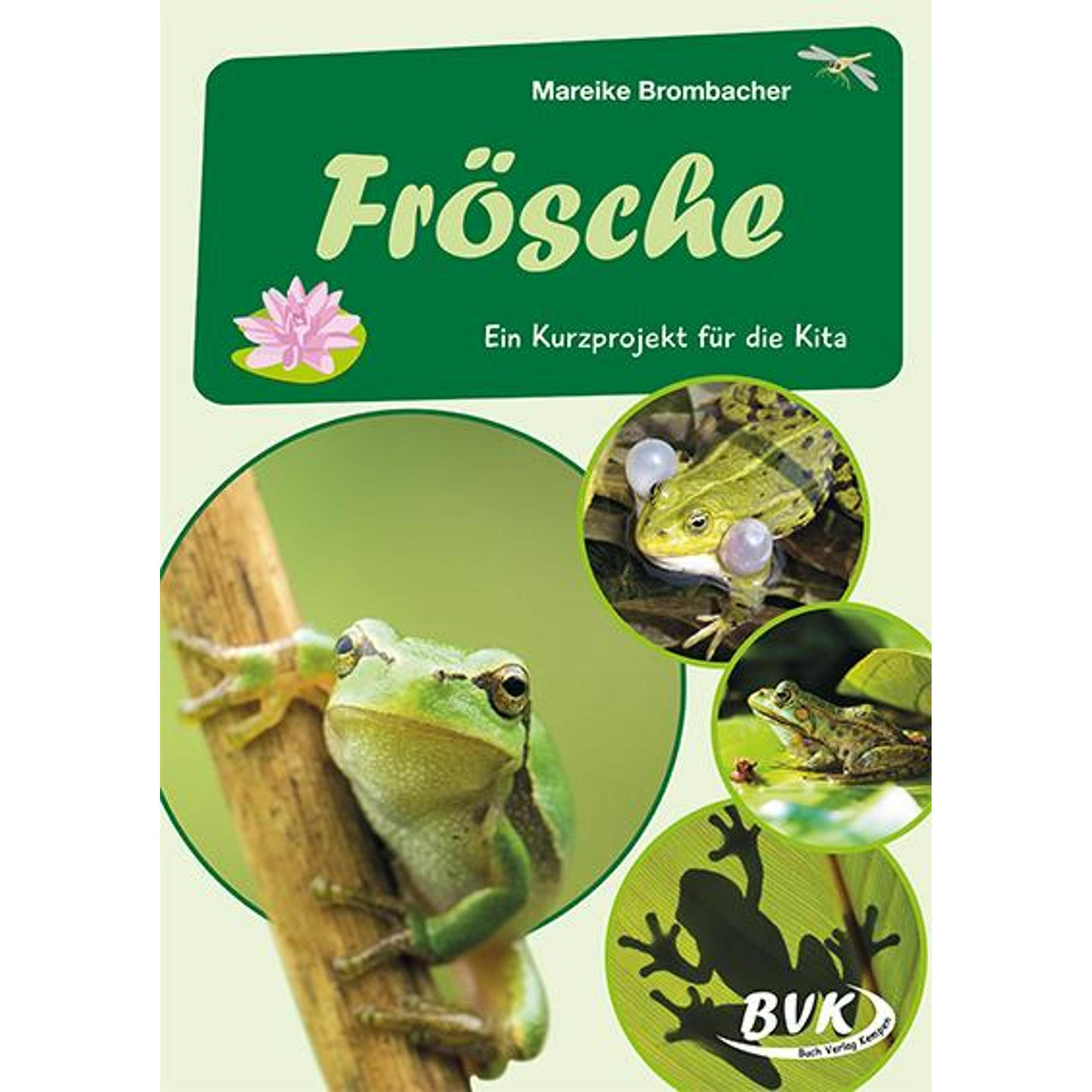 Brombacher:Frösche, Schulbücher von Mareike Brombacher