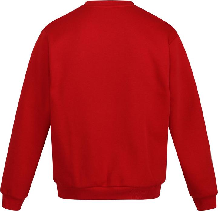 Immagine prodotto Regatta Pro Felpa Girocollo Uomo (4XL)