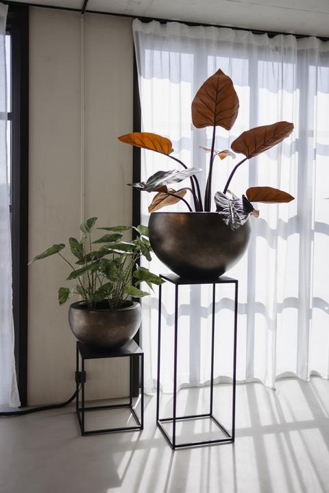 Produktbild Jaco Lite Glow Elena (67 x 42 cm)