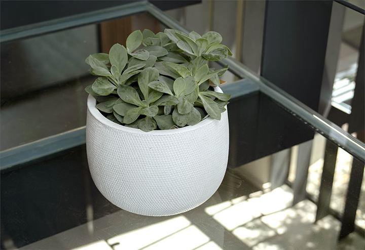 Produktbild Herstera Pita (32 x 25 cm)