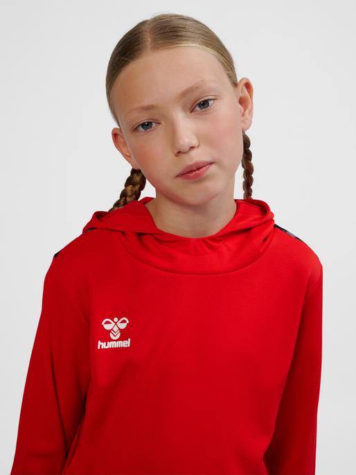 Immagine prodotto hummel Hmlauthentic Pl Hoodie Kids (164)
