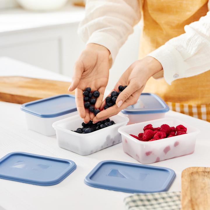 Image du produit Rotho Gefrierdosen Set (0.50 l)