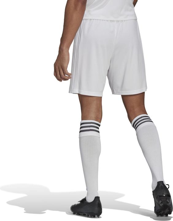 Produktbild adidas Squadra 21 Short (L)