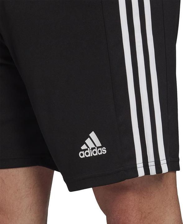 Actual product image adidas Squadra 21 Short (L)