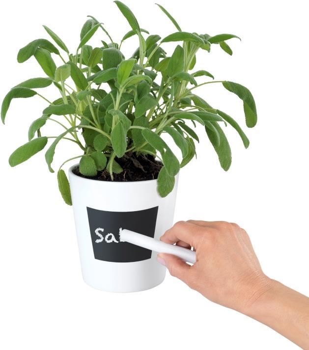 Actual product image Wenko Waia herb pot (13 x 13.50 cm)
