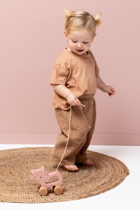 Image du produit Trixie Baby Chat à tirer en bois