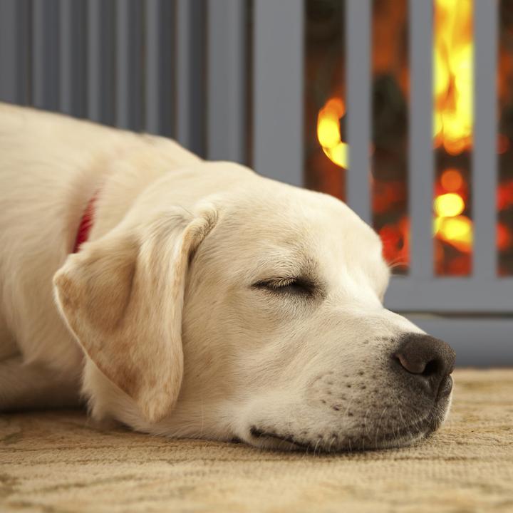 Produktbild Relaxdays Absperrgitter