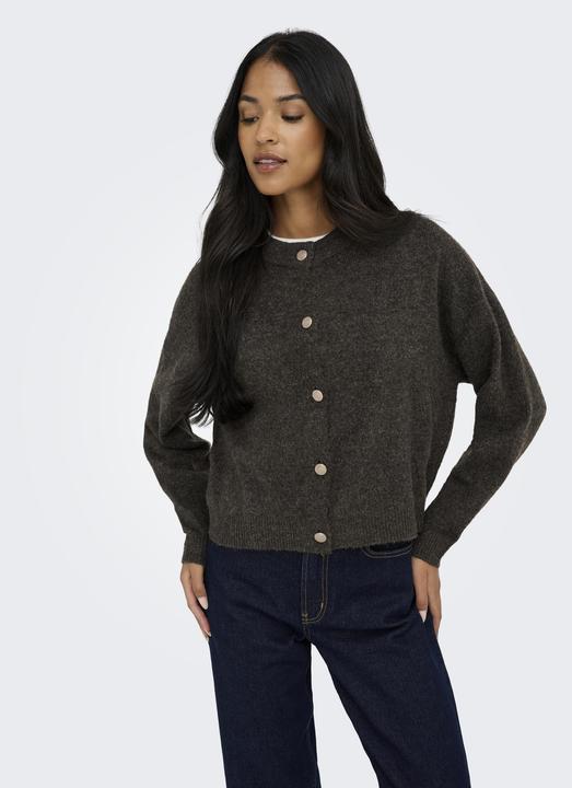 Produktbild JdY JDYDEBBIE Strickjacke Strickjacke (M)