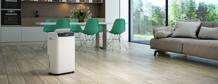 Actual product image Olimpia Splendid Aquaria S1 24P (100 m², 24 l/24h)