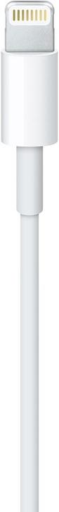 Actual product image Apple Lightning – USB A (0.50 m, USB 2.0)