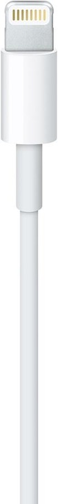 Image du produit Apple Lightning – USB A (0.50 m, USB 2.0)