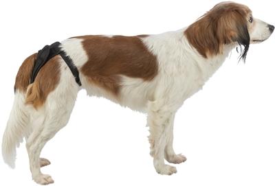 Actual product image Trixie Beschermbroekje Comfort Mesh Materiaal Zwart (Dog)