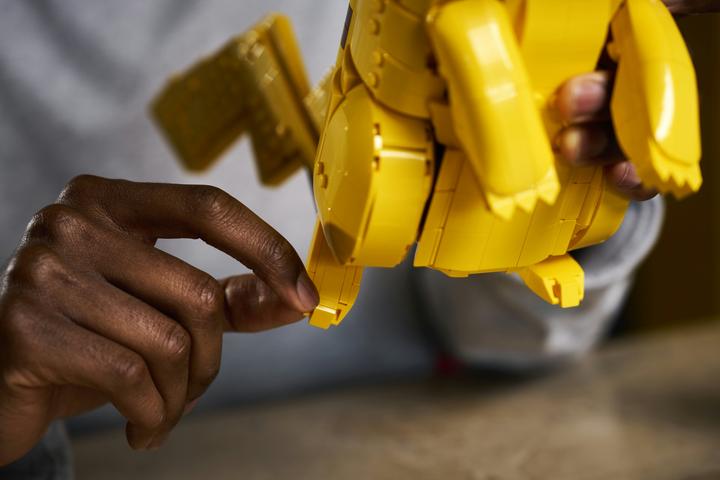 Immagine prodotto LEGO Pikachu e Pokéball