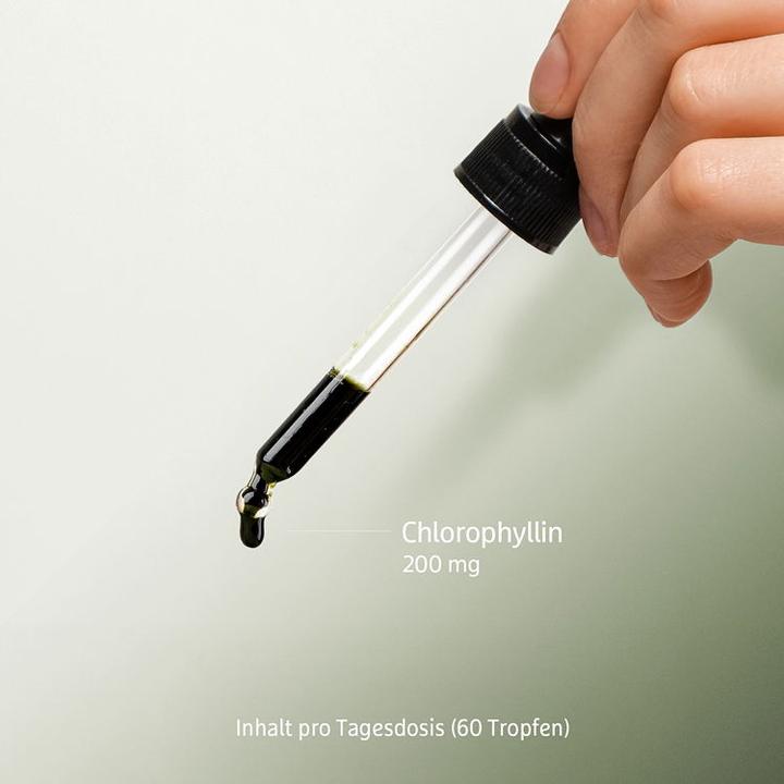 Actual product image Effective Nature Chlorophyll (1 Piece, Liquid)