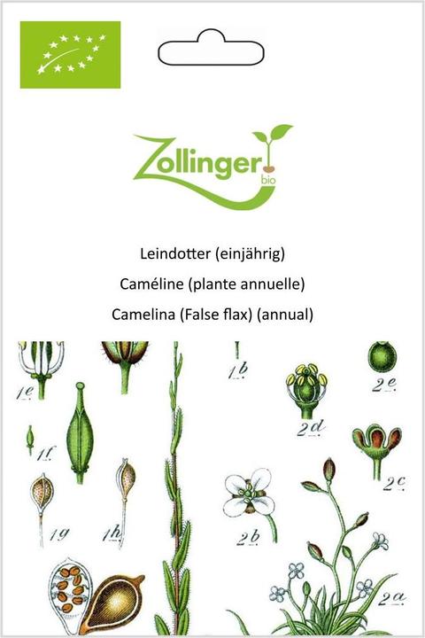 Immagine prodotto Zollinger Bio L'oro del piacere (annuale) (Germogli)