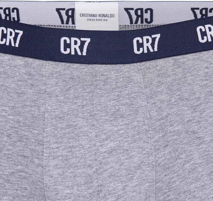 Actual product image CR7 Basic Trunk Organic, 6-pack (L, pack of 6)