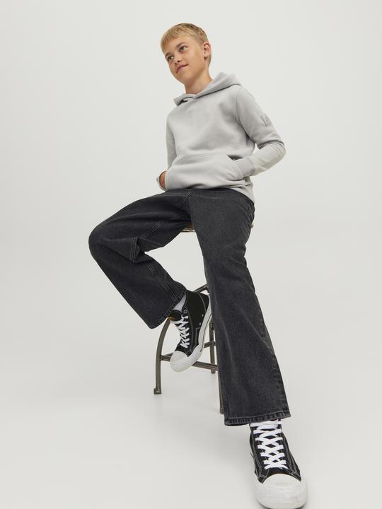 Produktbild Jack & Jones Boys Alex Original MF 823 Baggy Jeans (170)