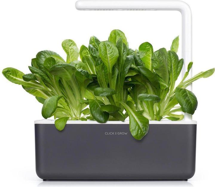 Immagine prodotto Click and Grow Lattuga romana (Germogli)